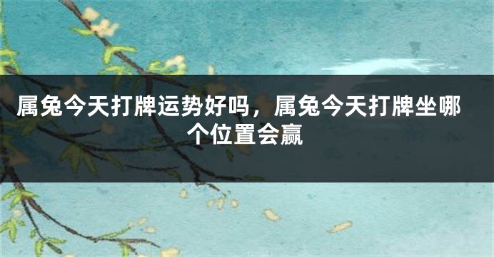 属兔今天打牌运势好吗，属兔今天打牌坐哪个位置会赢