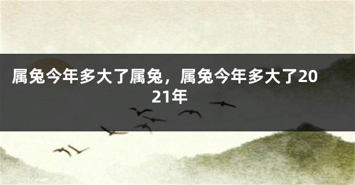 属兔今年多大了属兔，属兔今年多大了2021年