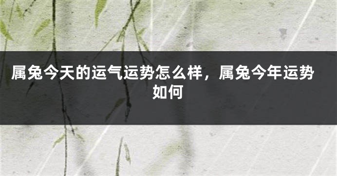属兔今天的运气运势怎么样，属兔今年运势如何