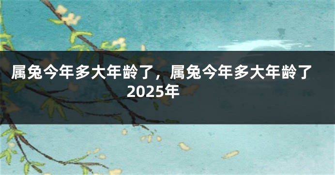 属兔今年多大年龄了，属兔今年多大年龄了2025年