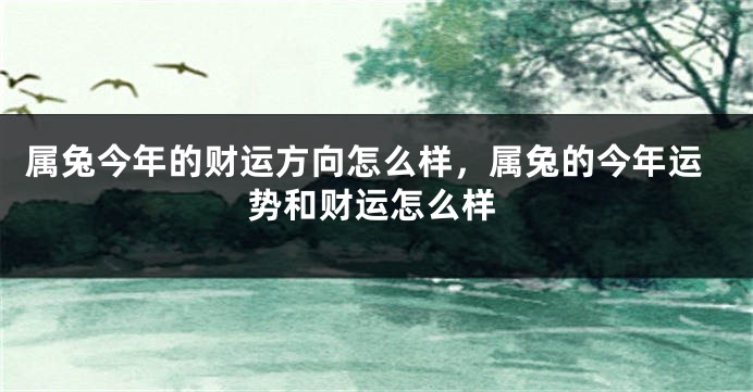 属兔今年的财运方向怎么样，属兔的今年运势和财运怎么样
