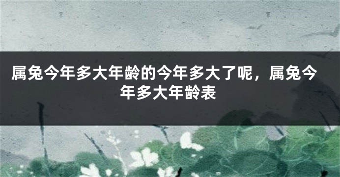 属兔今年多大年龄的今年多大了呢，属兔今年多大年龄表