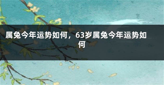 属兔今年运势如何，63岁属兔今年运势如何