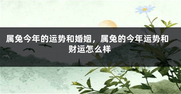 属兔今年的运势和婚姻，属兔的今年运势和财运怎么样