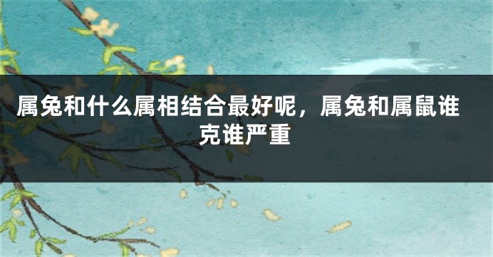 属兔和什么属相结合最好呢，属兔和属鼠谁克谁严重