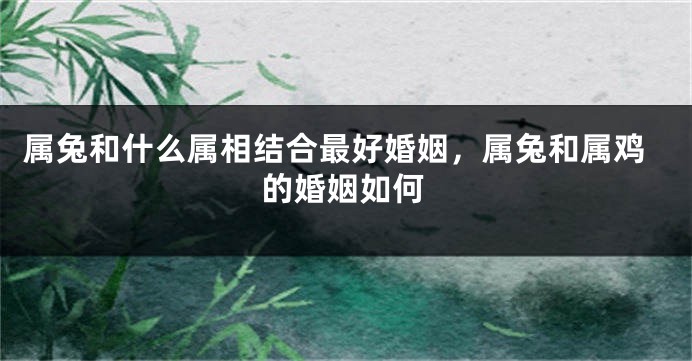 属兔和什么属相结合最好婚姻，属兔和属鸡的婚姻如何
