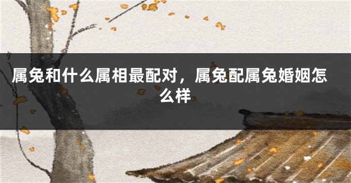 属兔和什么属相最配对，属兔配属兔婚姻怎么样