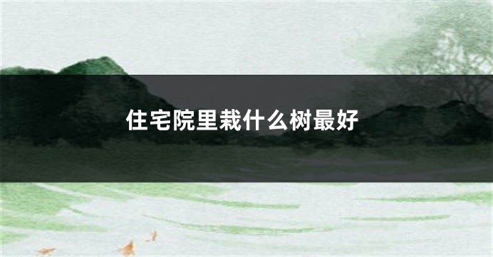 住宅院里栽什么树最好