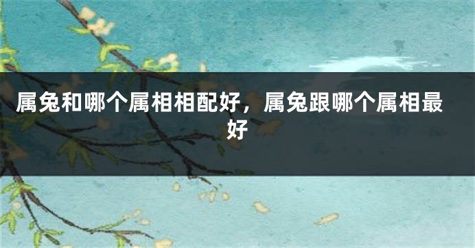属兔和哪个属相相配好，属兔跟哪个属相最好