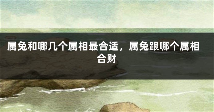 属兔和哪几个属相最合适，属兔跟哪个属相合财