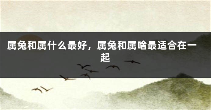 属兔和属什么最好，属兔和属啥最适合在一起