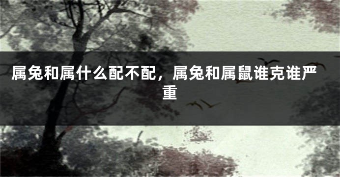 属兔和属什么配不配，属兔和属鼠谁克谁严重