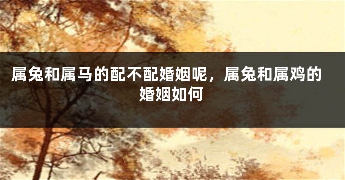 属兔和属马的配不配婚姻呢，属兔和属鸡的婚姻如何