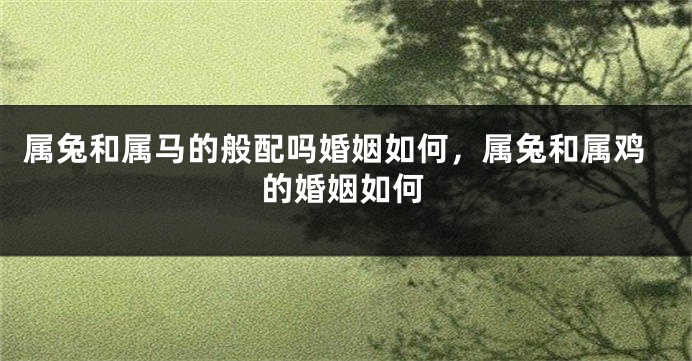 属兔和属马的般配吗婚姻如何，属兔和属鸡的婚姻如何