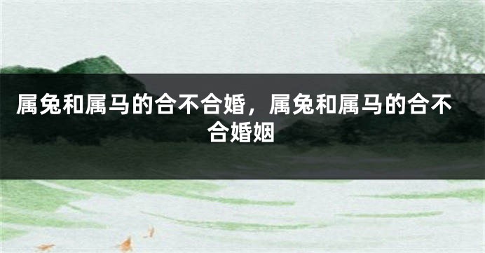 属兔和属马的合不合婚，属兔和属马的合不合婚姻