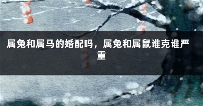 属兔和属马的婚配吗，属兔和属鼠谁克谁严重