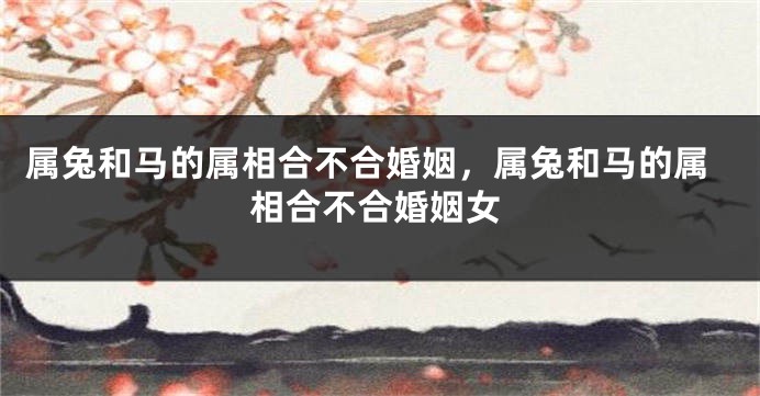 属兔和马的属相合不合婚姻，属兔和马的属相合不合婚姻女