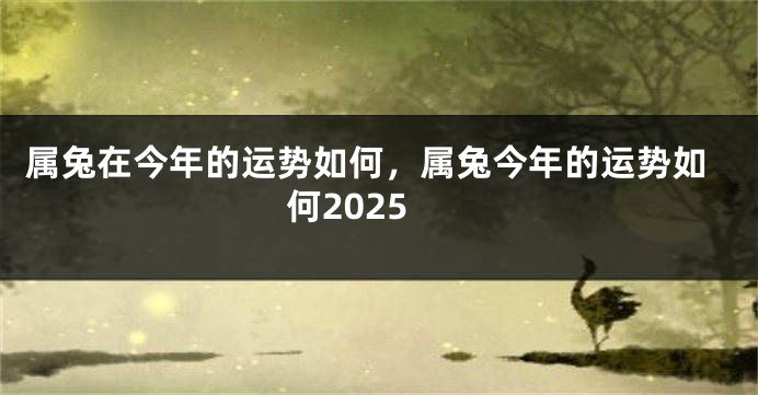 属兔在今年的运势如何，属兔今年的运势如何2025