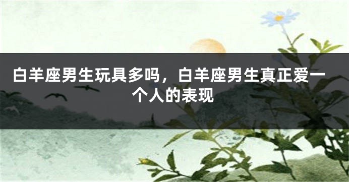 白羊座男生玩具多吗，白羊座男生真正爱一个人的表现