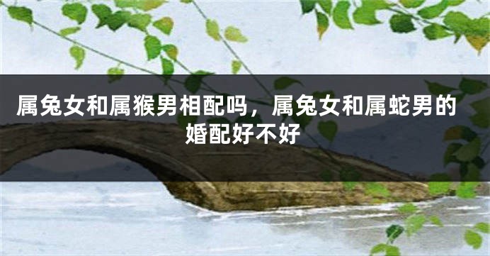 属兔女和属猴男相配吗，属兔女和属蛇男的婚配好不好