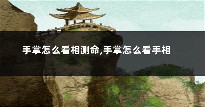 手掌怎么看相测命,手掌怎么看手相