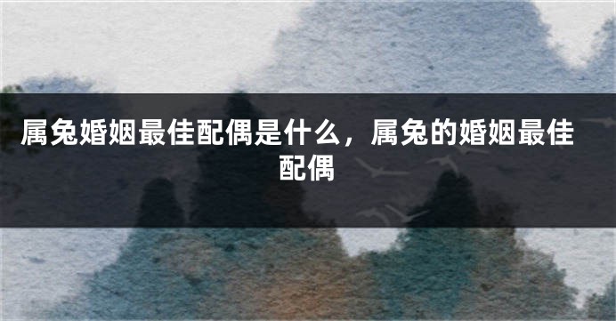 属兔婚姻最佳配偶是什么，属兔的婚姻最佳配偶