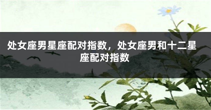 处女座男星座配对指数，处女座男和十二星座配对指数