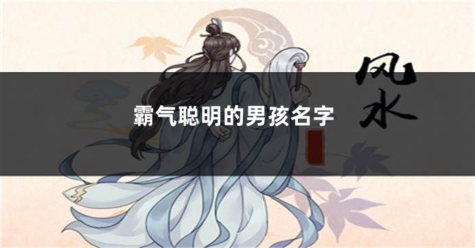 霸气聪明的男孩名字