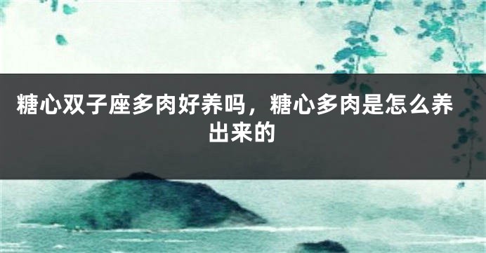糖心双子座多肉好养吗，糖心多肉是怎么养出来的