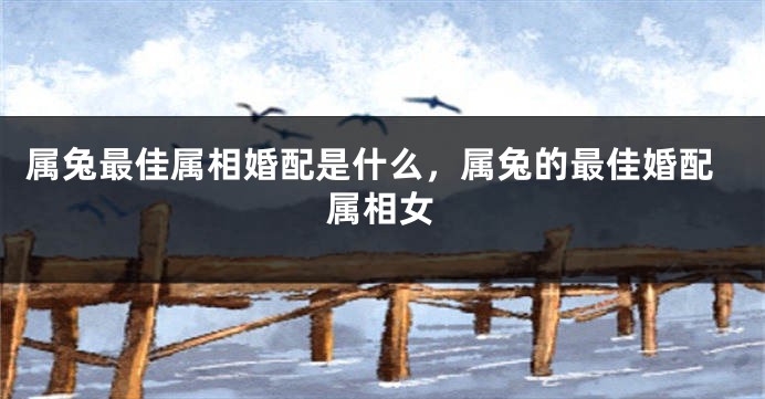 属兔最佳属相婚配是什么，属兔的最佳婚配属相女