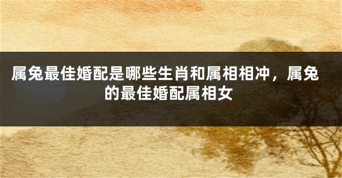 属兔最佳婚配是哪些生肖和属相相冲，属兔的最佳婚配属相女