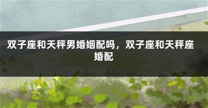 双子座和天秤男婚姻配吗，双子座和天秤座婚配