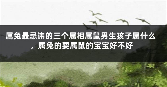 属兔最忌讳的三个属相属鼠男生孩子属什么，属兔的要属鼠的宝宝好不好