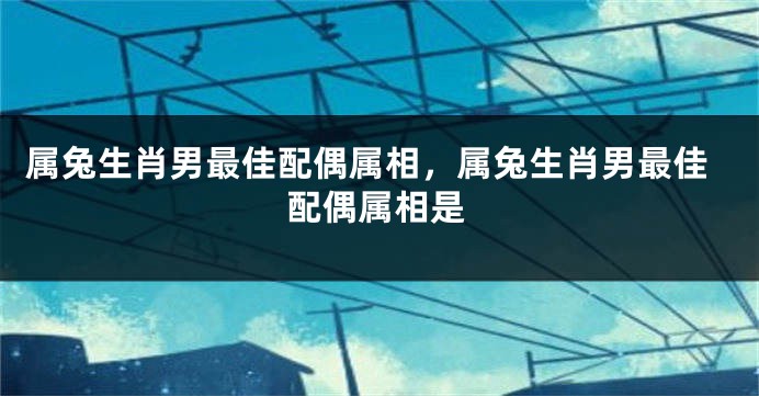 属兔生肖男最佳配偶属相，属兔生肖男最佳配偶属相是