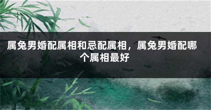 属兔男婚配属相和忌配属相，属兔男婚配哪个属相最好