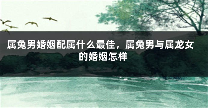 属兔男婚姻配属什么最佳，属兔男与属龙女的婚姻怎样