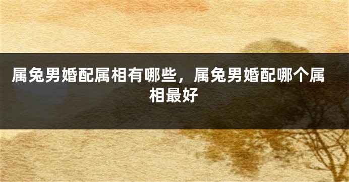 属兔男婚配属相有哪些，属兔男婚配哪个属相最好