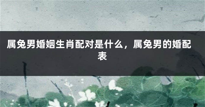 属兔男婚姻生肖配对是什么，属兔男的婚配表