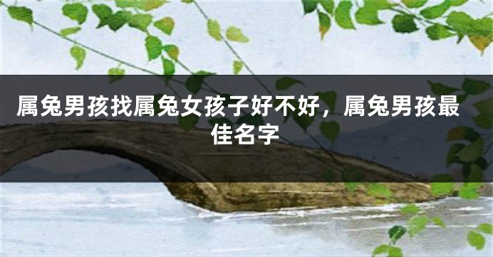 属兔男孩找属兔女孩子好不好，属兔男孩最佳名字
