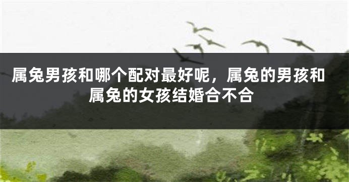 属兔男孩和哪个配对最好呢，属兔的男孩和属兔的女孩结婚合不合
