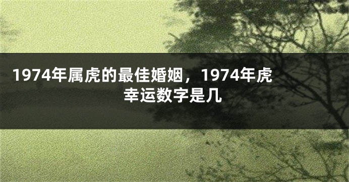 1974年属虎的最佳婚姻，1974年虎幸运数字是几