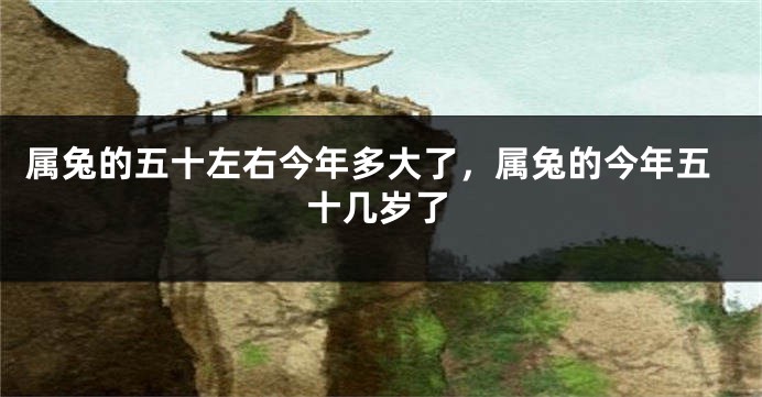 属兔的五十左右今年多大了，属兔的今年五十几岁了