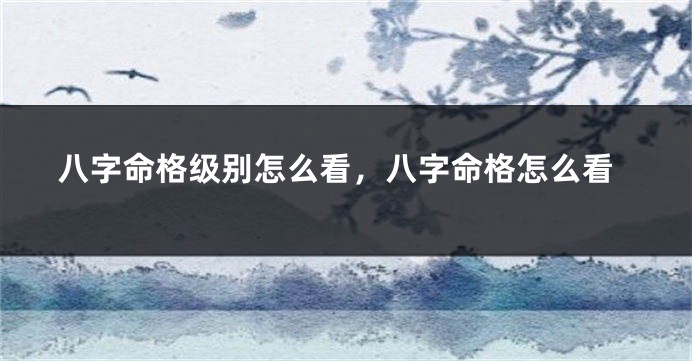 八字命格级别怎么看，八字命格怎么看