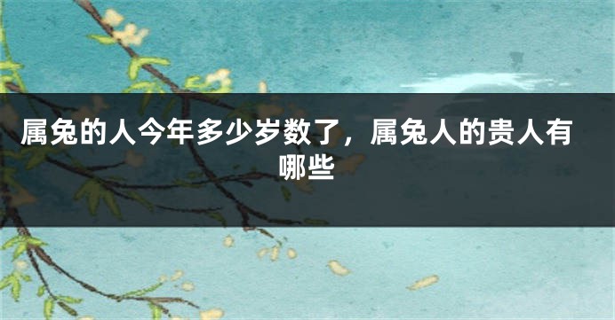 属兔的人今年多少岁数了，属兔人的贵人有哪些