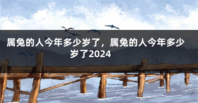 属兔的人今年多少岁了，属兔的人今年多少岁了2024