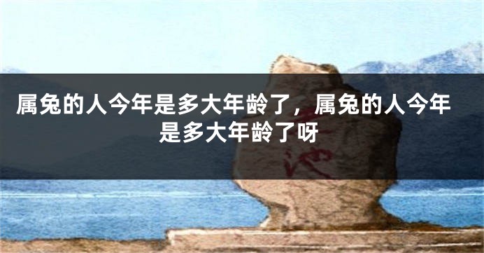 属兔的人今年是多大年龄了，属兔的人今年是多大年龄了呀