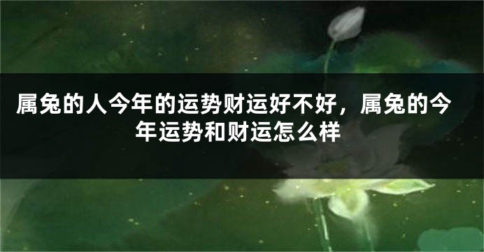 属兔的人今年的运势财运好不好，属兔的今年运势和财运怎么样