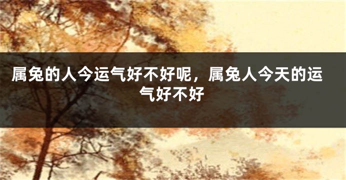 属兔的人今运气好不好呢，属兔人今天的运气好不好