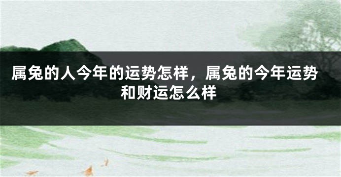 属兔的人今年的运势怎样，属兔的今年运势和财运怎么样