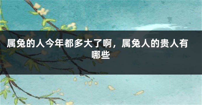 属兔的人今年都多大了啊，属兔人的贵人有哪些
